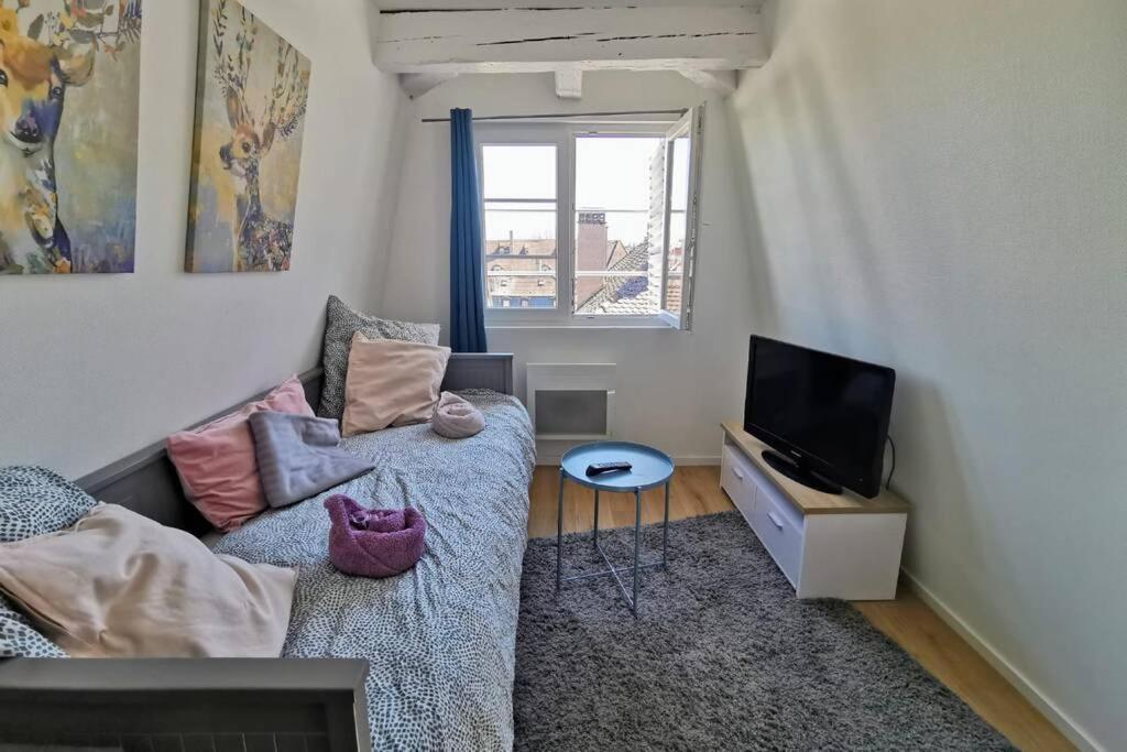 ** Appartement Cathedrale Strasbourg Centre** Eksteriør bilde